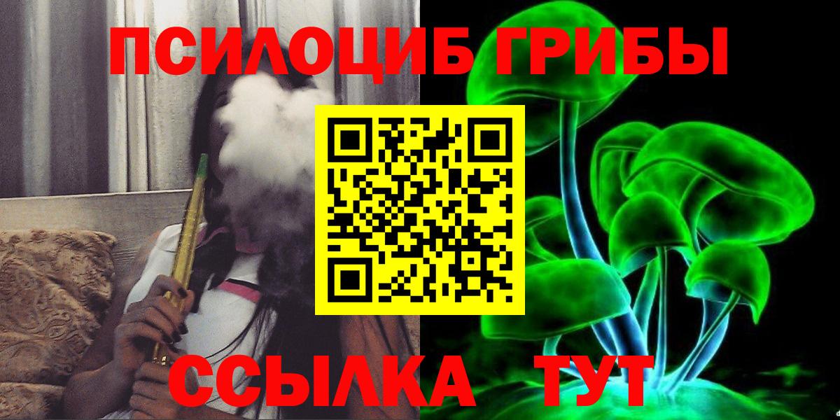 Псилоцибиновые грибы Cubensis Гуково